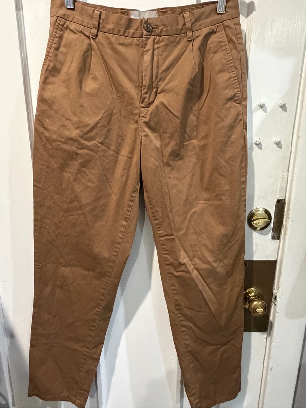 Everlane Brown Cotton Chinos - Tapered Fit